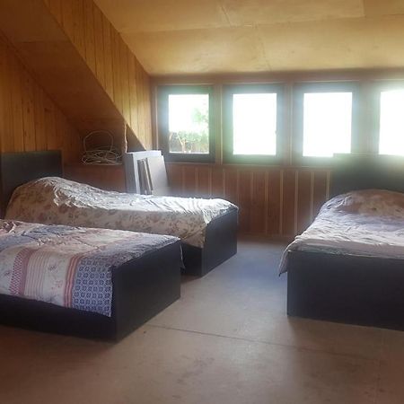 Hostel The Misty Mountains ميستيا المظهر الخارجي الصورة