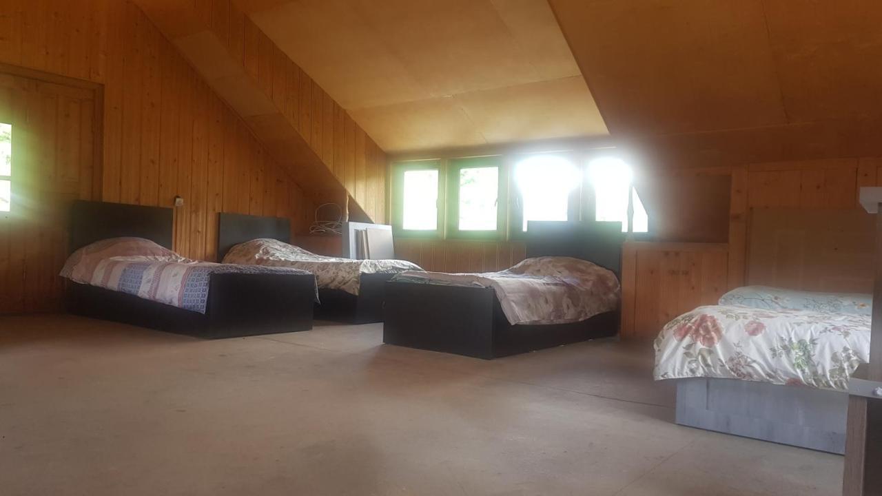 Hostel The Misty Mountains ميستيا المظهر الخارجي الصورة