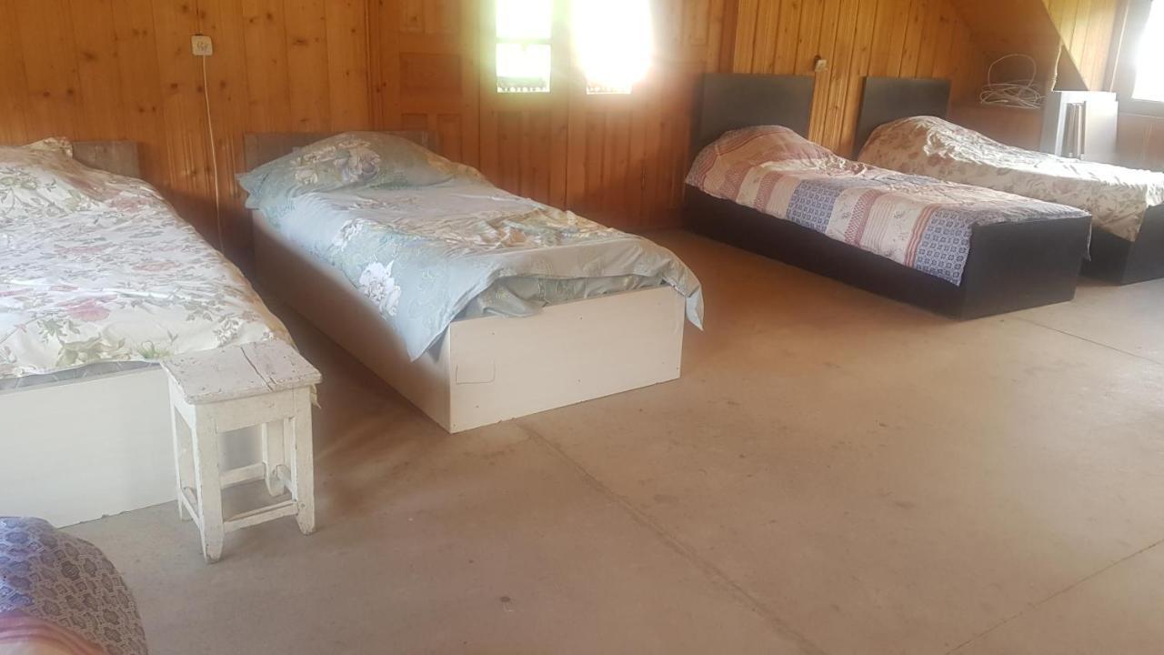 Hostel The Misty Mountains ميستيا المظهر الخارجي الصورة