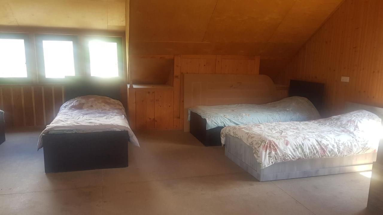 Hostel The Misty Mountains ميستيا المظهر الخارجي الصورة