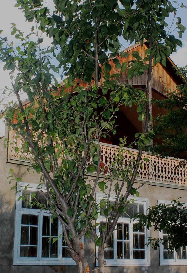 Hostel The Misty Mountains ميستيا المظهر الخارجي الصورة