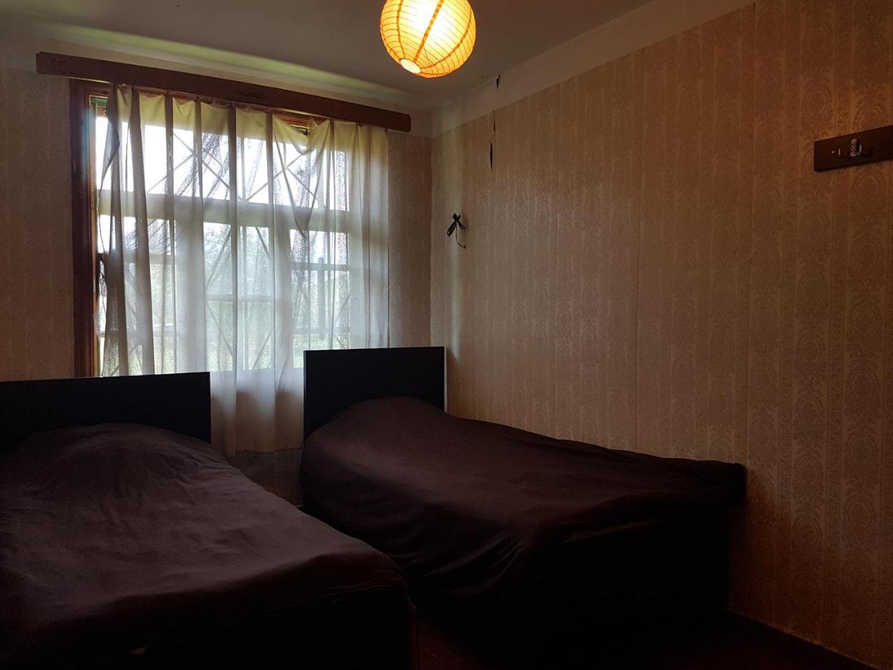 Hostel The Misty Mountains ميستيا المظهر الخارجي الصورة