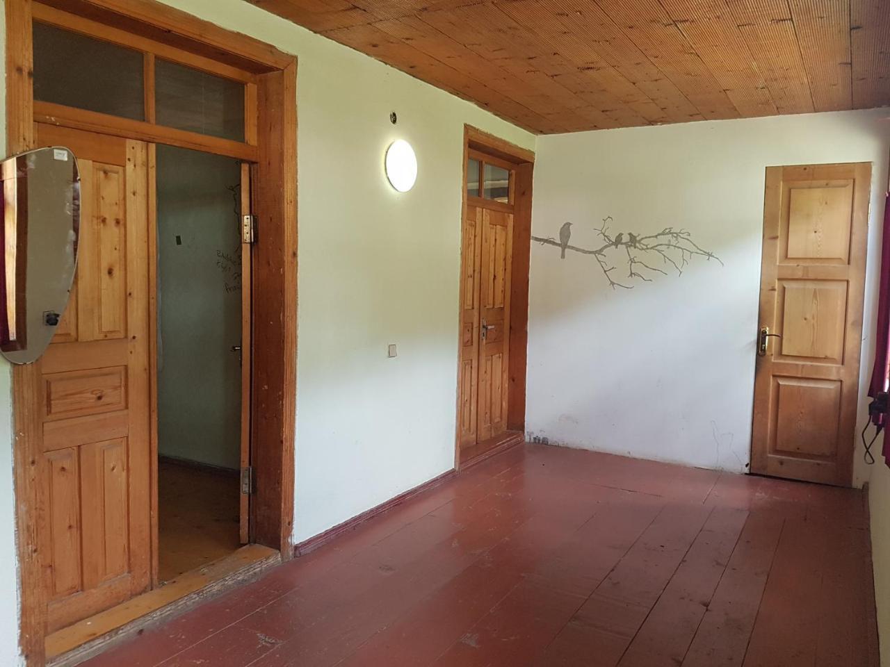 Hostel The Misty Mountains ميستيا المظهر الخارجي الصورة