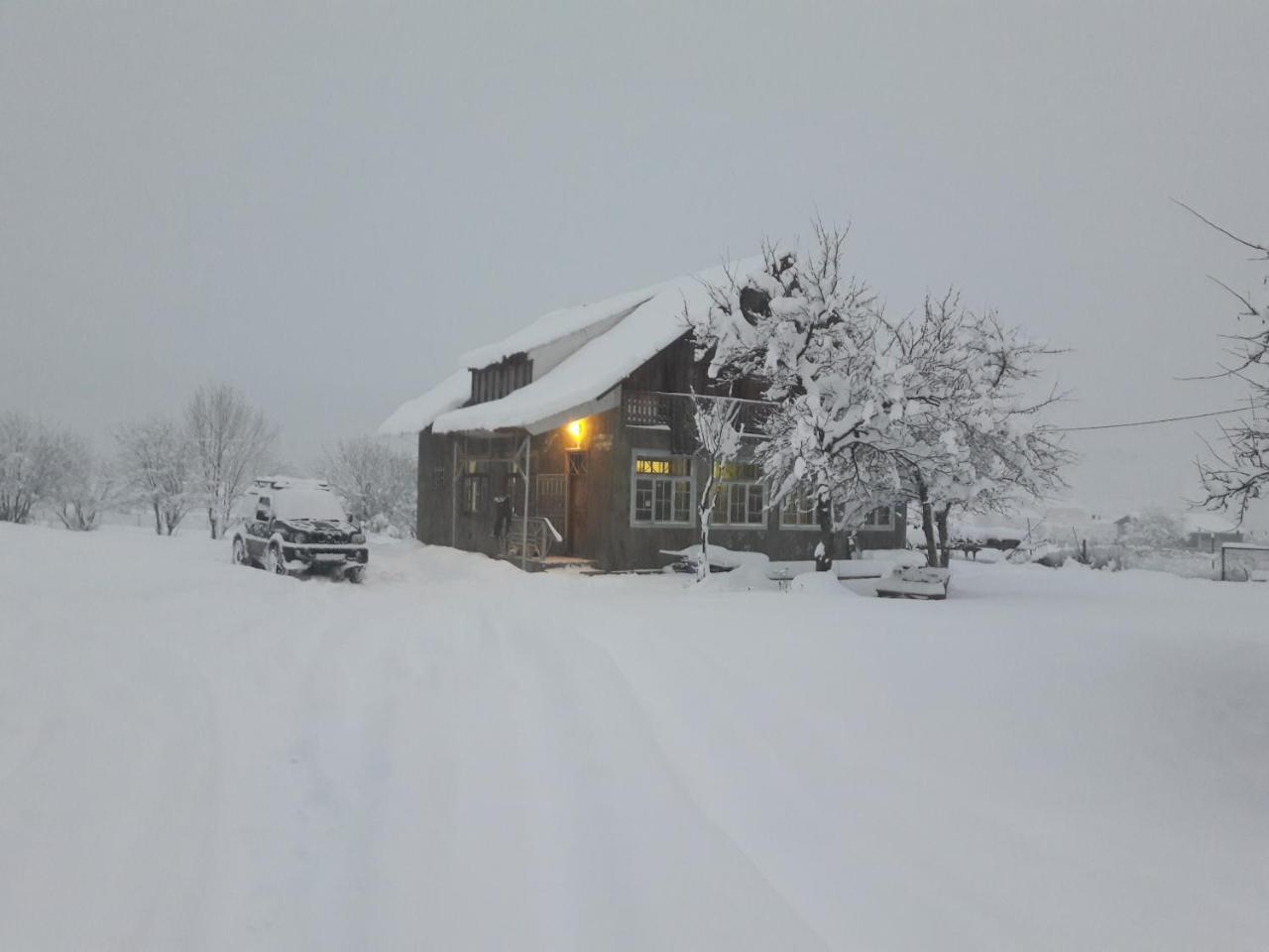 Hostel The Misty Mountains ميستيا المظهر الخارجي الصورة